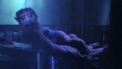 A fuzzy, ape-like creature is strapped to a laboratory table. It is looking up and over its right shoulder. The setting is saturated in various shades of blue.
