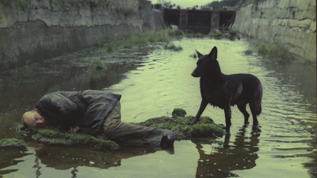 A green-tinted photo of a black dog standing next to a man lying on his side in a watery canal.