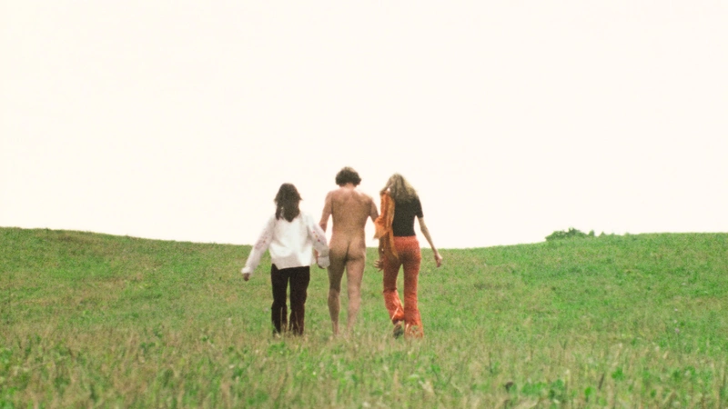 Three people walk across a grassy field with their backs to us: a naked man in between two clothed women. 