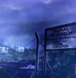There’s Something Unnatural About This Place: Martin Rosen’s Watership Down and The Plague Dogs