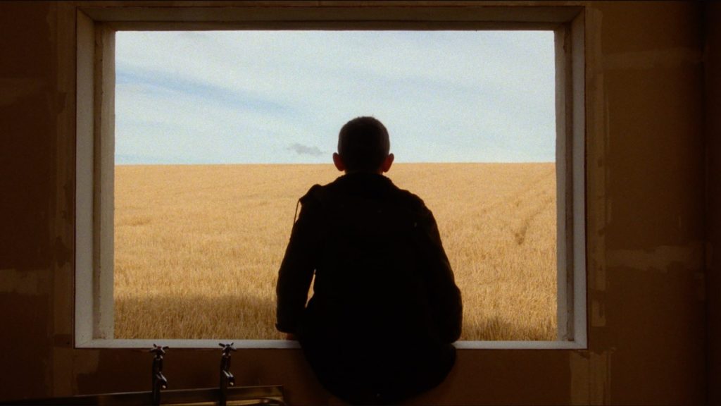 James stares out of the window at the golden fields.