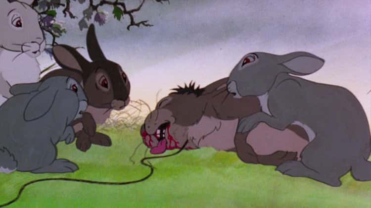 Four rabbits gather in concern around a fifth, mangled, bloody rabbit in "Watership Down."
