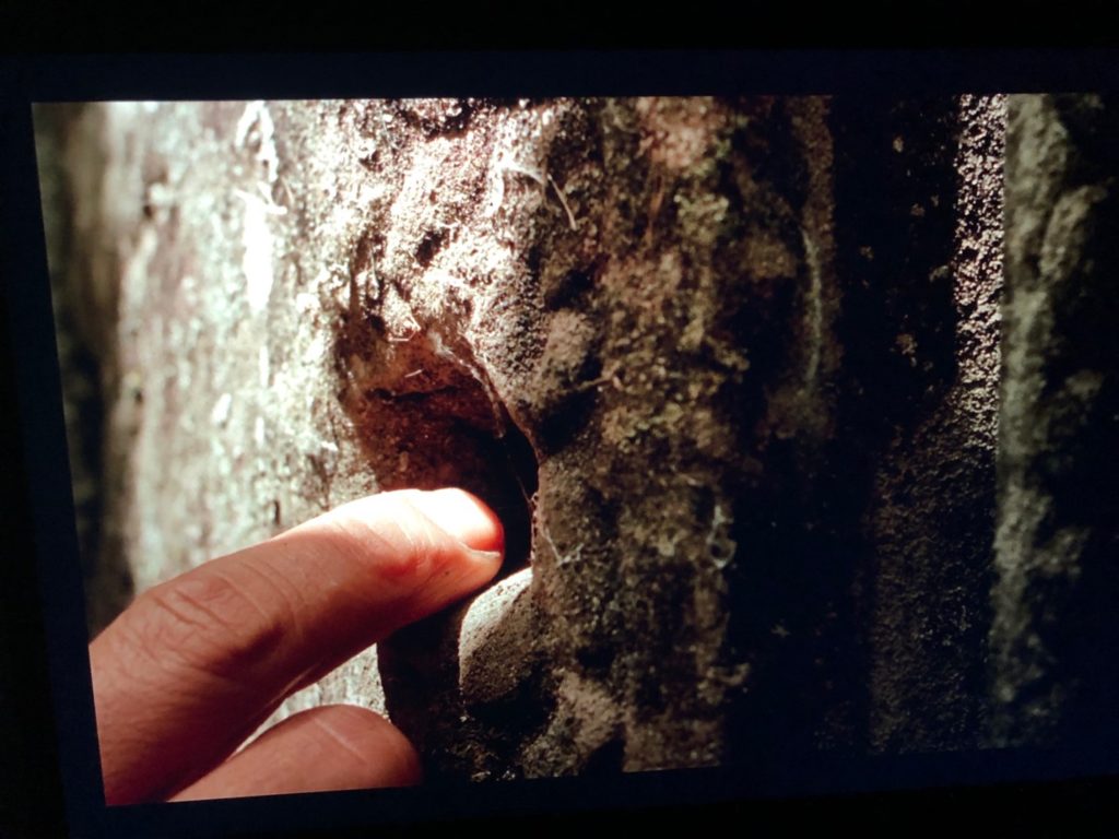 A single finger lit by the sun extends into a hole in a stone wall.