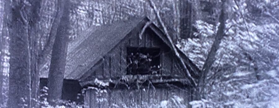 A dilapidated cabin stands alone in the woods.