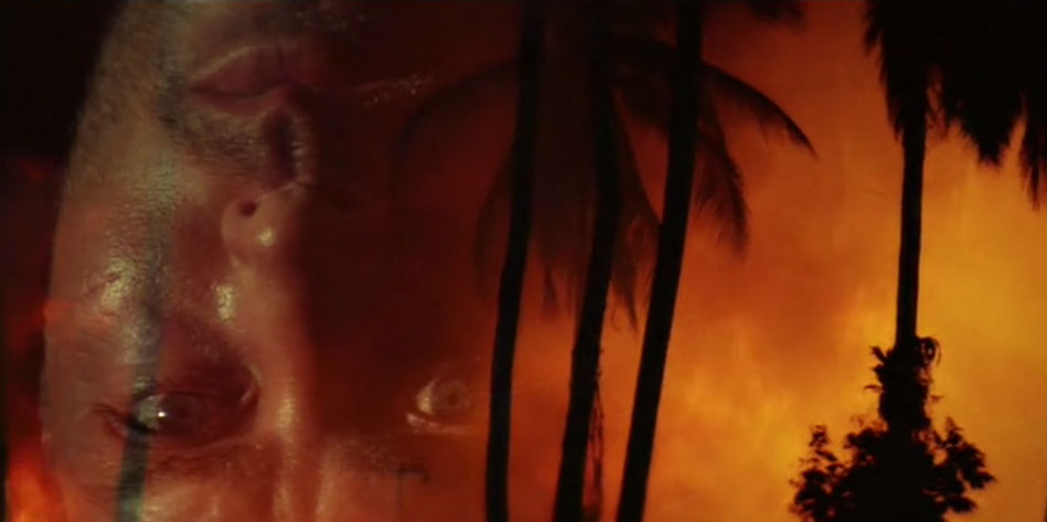 A palm trees in silhouette surrounded by massive orange-red blaze of fire. On left side of image, a man's inverted face is superimposed over the fire.