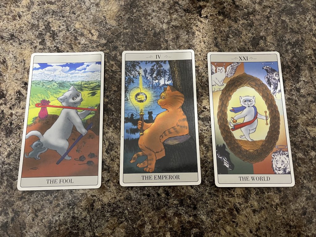 Three tarot cards on Finn's faux marble counter (this is Finn so I can vouch for it being fake). On the left is a grey cat with a traveling napsack. This is The Fool. In the middle is a hefty orange cat leaning against a tree. This is The Emperor. The last card on the right has a white angel in the middle of a oval wreath. This is the World.