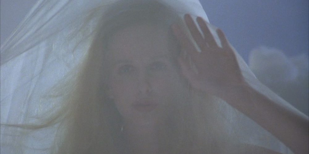 I Want to Talk to You About Ducts … and Dreams