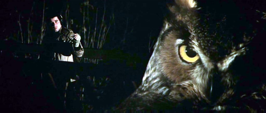 Split diopter shot of darkness with John Travolta (as soundman Jack Terry) deep in the background on the left, wearing headphones and dressed in a tan coat, holding out a pencil microphone into the vastness. On the right is an extreme close-up of a Great Horned Owl, only one side of its face illuminated — in particular, its large yellow eye.