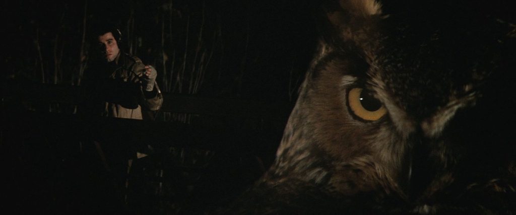 Split diopter shot of darkness with John Travolta (as soundman Jack Terry) deep in the background on the left, wearing headphones and dressed in a tan coat, holding out a pencil microphone into the vastness. On the right is an extreme close-up of a Great Horned Owl, only one side of its face illuminated — in particular, its large yellow eye.