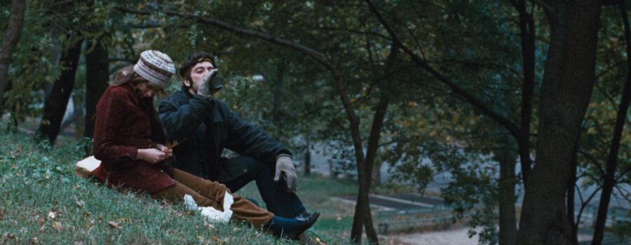 Two people sitting in a park