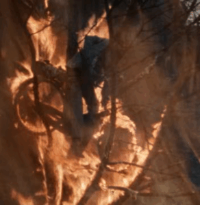 The Real Sequel to Mad Max: How to Explain the Apocalypse in The Road Warrior by Watching Threads