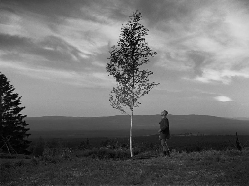 A black and white image of a man standing on a hill, to the right of a tall, skinny tree. Several hills are visible in the background.