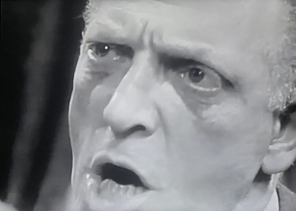 Extreme close-up of an angry business executive.