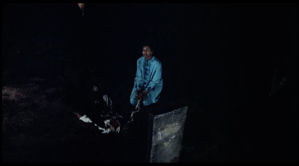 A white woman in a blue bathrobe kneels sadly next to a half dug grave, with a stone gravestone. Half buried in the grave is her son who is rotting.