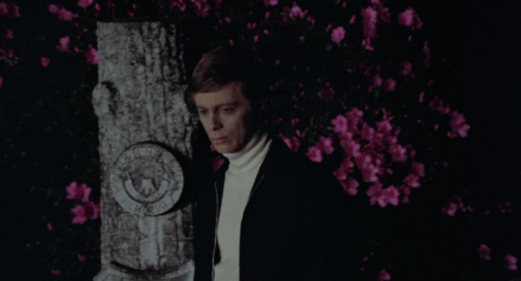 a man who looks young but has wrinkles is walking past a grave.
There are bright pink flowers in the background.