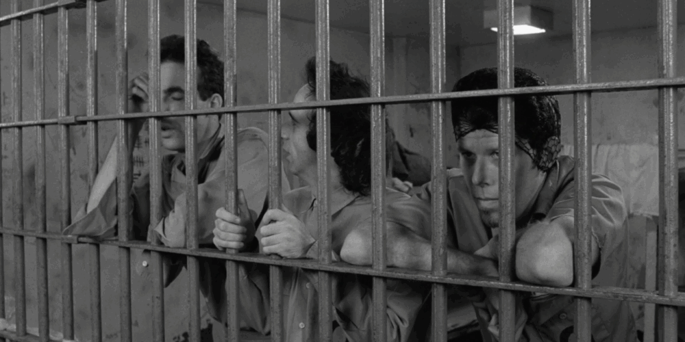 The Breathless Loitering of Down By Law