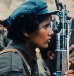 The Propaganda Will See You Now