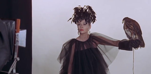 Women on a fashion shoot, wearing a sheer dress and feathery headpiece, with a falcon perched on her extended left arm. Camera in left foreground.