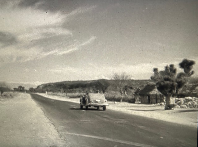  A black and white image of a black car driving down the road. Two passengers are inside, and the surrounding trees are full of leaves.