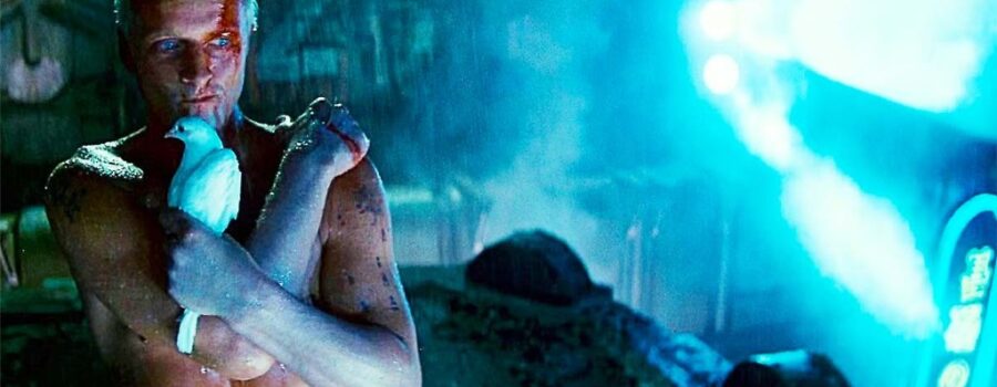 A shirtless Roy Batty (Rutger Hauer) holds a dove on a rainy rooftop