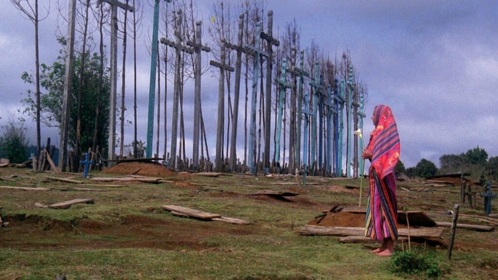 A color image of a woman in a pink and orange shawl with blue stripes, standing while holding a white flower. Standing in the background is a line of tall crosses and trees. 