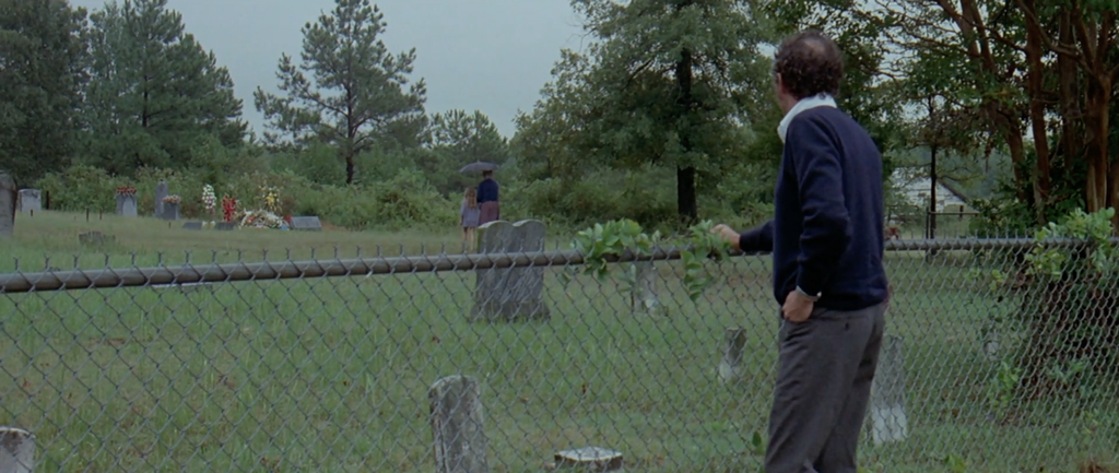 A chain link fence outlines a graveyard. An older woman and a younger girl are walking through the graveyard in the far distance, with an umbrella over them. GTO stands at the chain link fence facing away from us, in a blue sweater watching them.