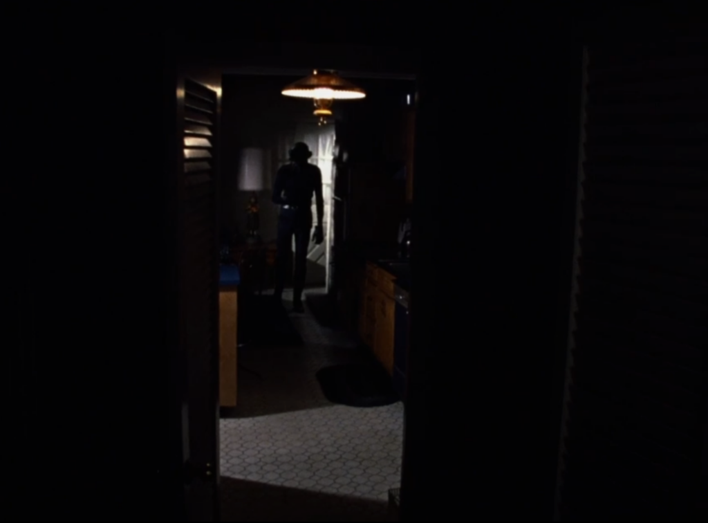 A shadowy figure stands in the kitchen of a house.
