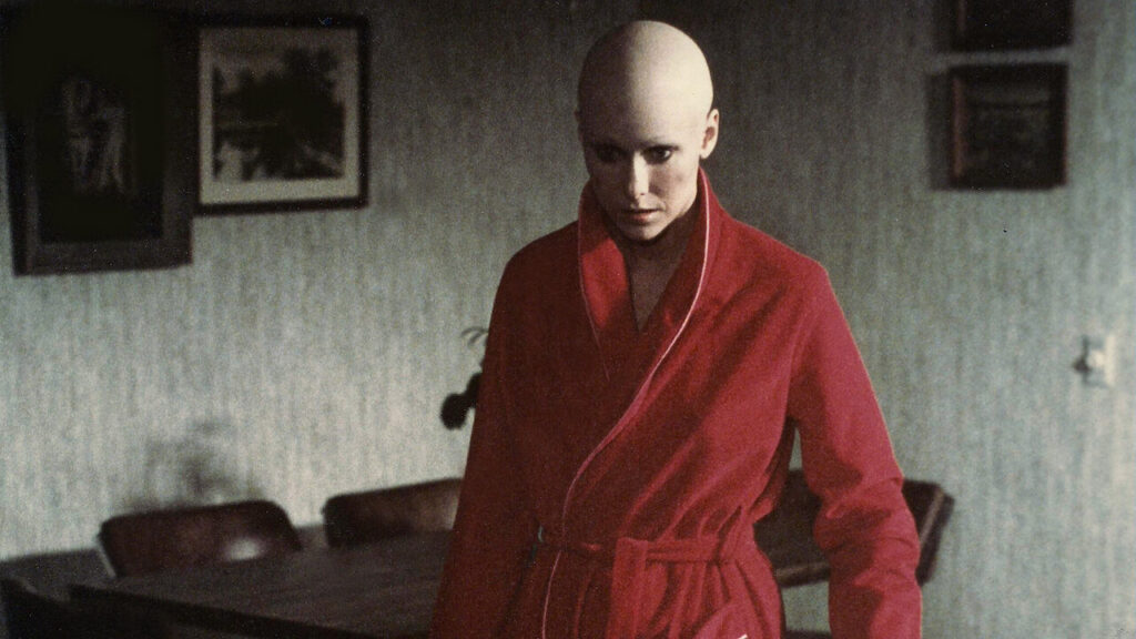 A woman with a smooth, completely bald head and dressed in a red bathrobe looms menacingly in front of a dining room table.